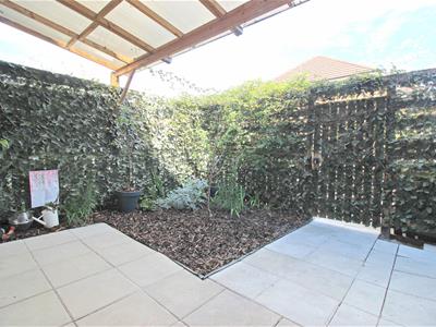 Picture 16